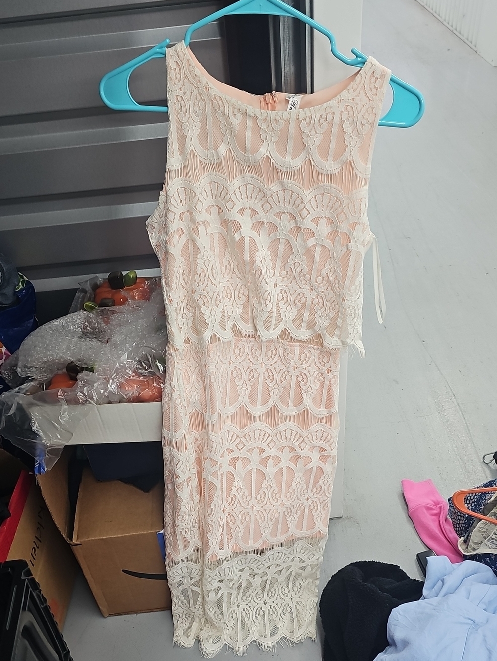 Sleeveless Ivory Lace Overlay Dress in Blush